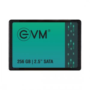 256GB SSD 2.5 INCH SATA