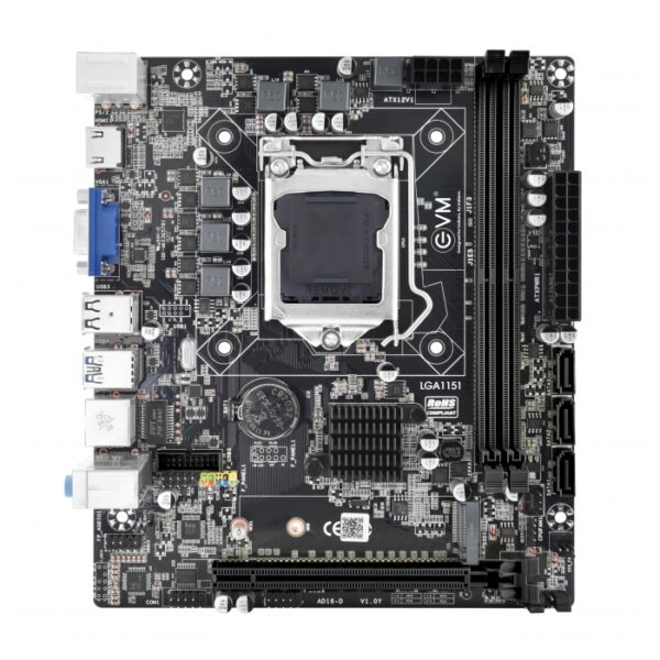 EVMH310-DDR4 Motherboard with NVMe Slot